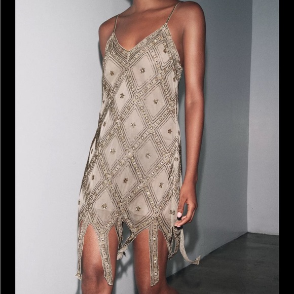 Zara limited edition EMBROIDERED TULLE Mini DRESS - Picture 3 of 15